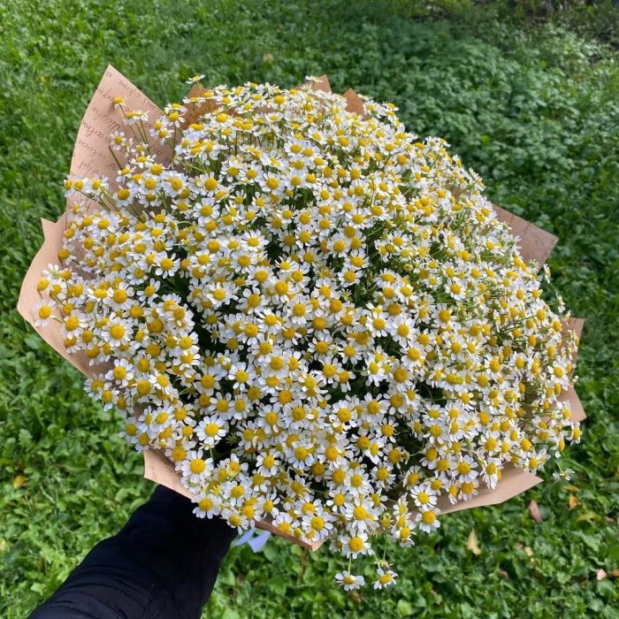 Букет полевых ромашек, фото 2